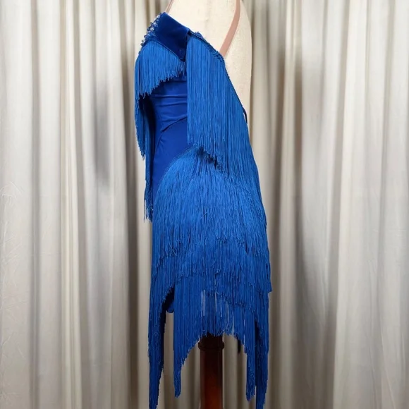 Ballroom Latin Salsa Dress - Picture 5 of 7